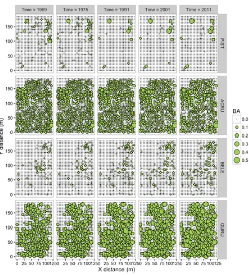 Figure 10.Observed codispersion of the basal area (and 2011. Contour intervals= 0black birch (BELE) and red oak (QURU) in 5m2) and abundance of white pine (PIST), red maple (ACRU), × 5m grid cells in the Lyford plot at ﬁve time steps between 1969.05 codispersion units.
