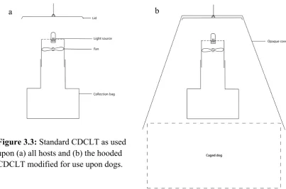 Figure 3.3: Standard CDCLT as used 