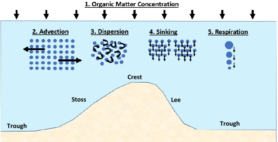 Figure 2 Flow chart of the model steps. 