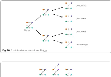 Fig. 10 Possible substructures of motif Mtt,3,3