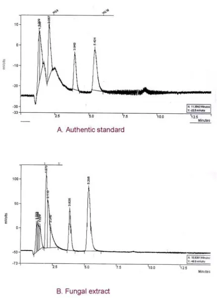 Fig. 3.2. Thin layer chromatographic study of fungal extracts 