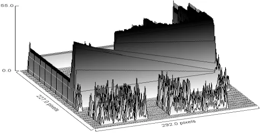 Figure 7. Surface plot for flame images obtained when the combustion is complete 