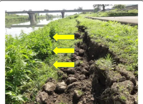 Fig. 10 The occurrence of lateral spreading at the river side, Akitsu