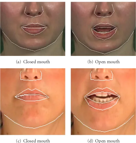 Figure 4(b) shows the parameterization of mouth images.