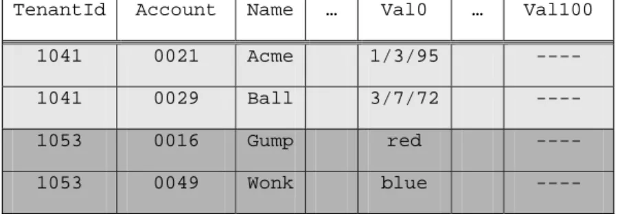 Figure 1. Account Table in the Shared Table Approach 