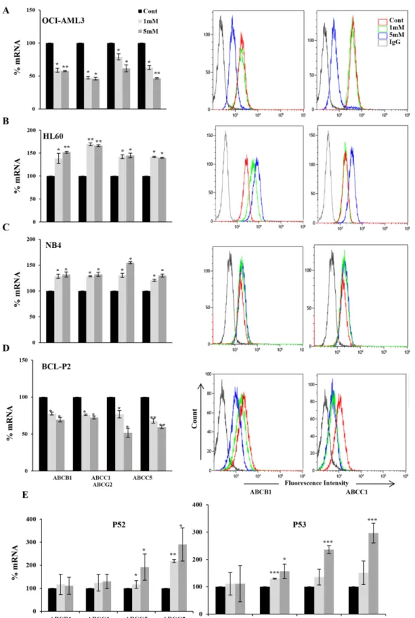 Figure 1: DCA-induced ABC transporters expression depended on p53 status in leukemic cells