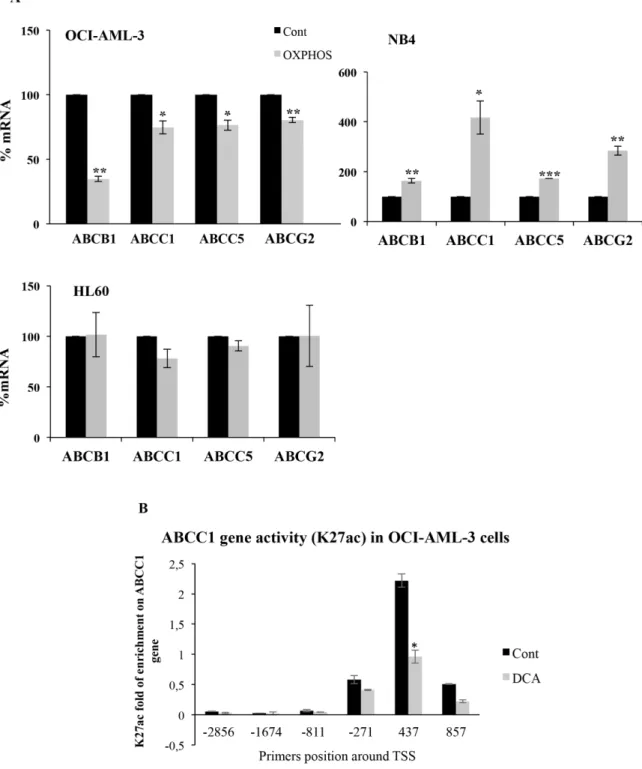 Figure 2: OXPHOS inhibited or stimulated ABC expression in wtp53 or mutp53 cells, respectively