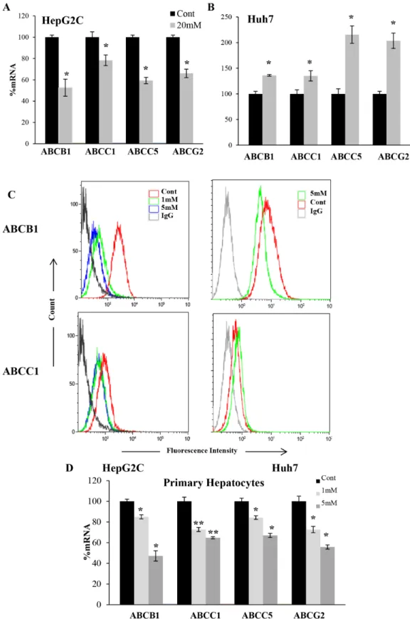 Figure 3: DCA-induced ABC transporters expression depended on p53 status in hepatic cells