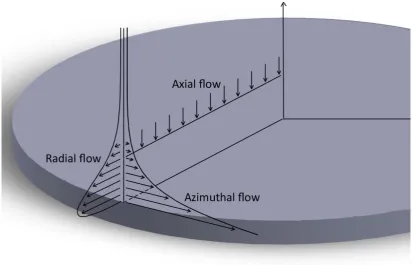 Figure 2.2 - An illustration of the three-dimensional flow on the surface of the rotating disk