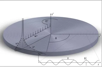 Figure 3.1 – Sketch of the disk surface, coordinate system and flow profiles. 