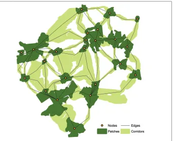 Figure 4. Current maps,illustrating a) a landscape wherelandscape where the analysisanalysis was confined to acorridor and b) a differentwas not confined to a corridor.