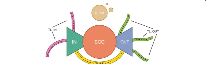 Fig. 2 Bow tie model. The bow tie model [(34] partitions a network into a strongly connected component SCC), flanked by IN, where nodes can reach the core but are not reachable from it and OUT, where nodes are reachable from the core but not vice versa
