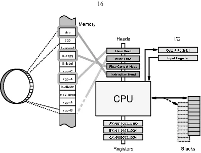 Figure 2.1: The basic hardware architecture of an Avida organism: CPU, registers, stacks,IO buffers
