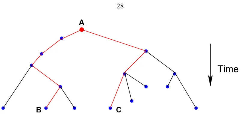 Figure 3.1: A simple example of a phylogenetic tree, showing how to measure the phylo-genetic distance between any two organisms or genotypes who share a common ancestor.genotype which is at least one mutation away from its parent