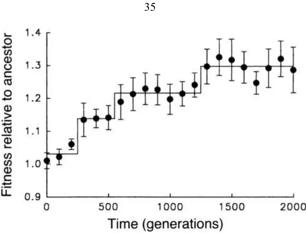 Figure 4.1: Fitness of E. colipunctuated increases as ﬁtter mutants sweep through the population