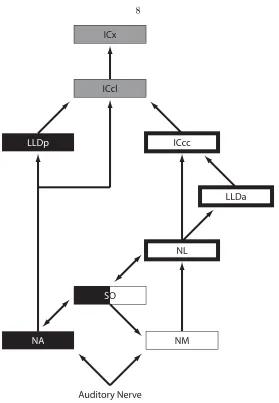 Figure 1.2. A simpliﬁed schematic of the sound localization pathway. The ILD pathway is shown inblack, the ITD pathway in white, and the sites in which the cues converge are grey