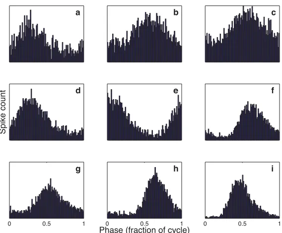 Figure 1.4.Examples of phase-locking in the auditory nerve of the barn owl.the stimulus, and then a histogram of these phases was plotted