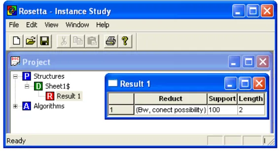 Fig. 3. The Reduct Computed by ROSETTA 