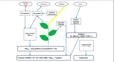 Figure 12 BioSTAR method of transpiration calculation.