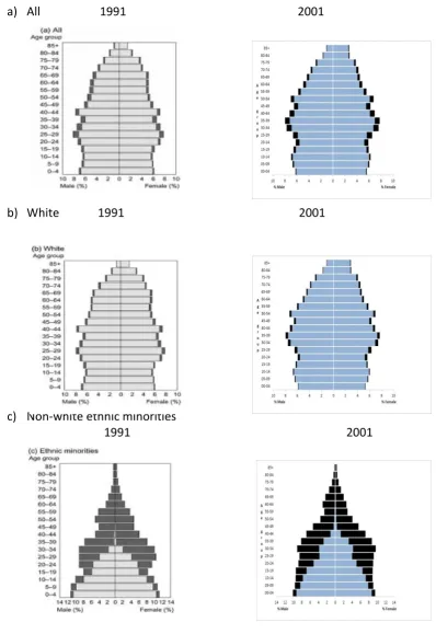 Figure 3.4 Age and sex distribution of persons born within and outside of the UK by ethnic group 1991 (Owen, 1996) compared to 2001 