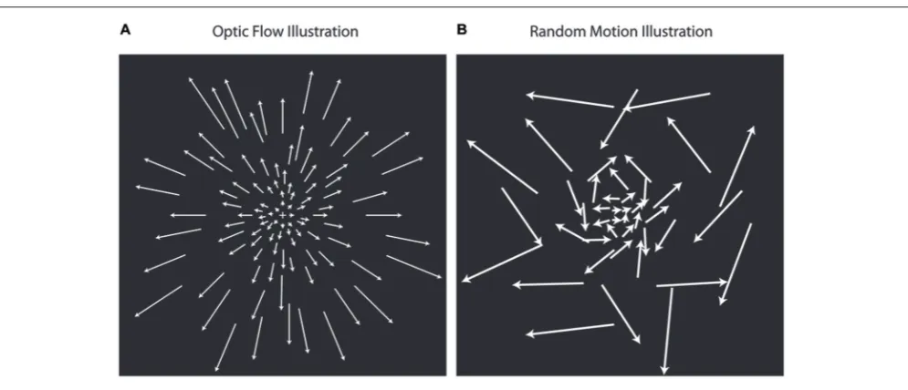FIGURE 1 | Optic ﬂow stimuli illustration. Optic ﬂow motion stimuli(A) simulate forward and backward motion using dot ﬁelds that areexpanding or contracting while rotating about a central focus