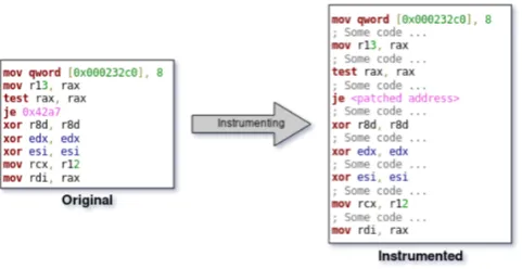 Figure 2.9: Dynamic program instrumentation at single-instruction granularity.