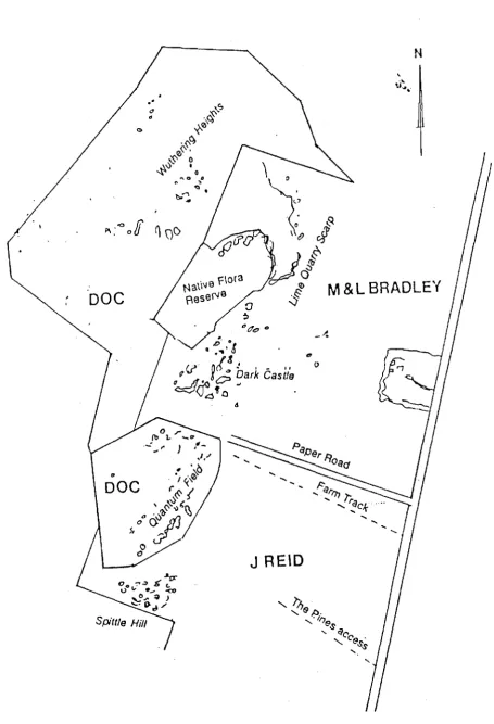 Figure 3 Land Tenure at Castle Hill. 