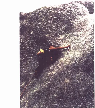 Figure 5 Non-galvanised bolt on 'That Obscure Object of Desire', Spittle Hill. 