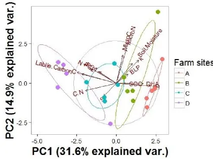 Figure 2-5:  PCA ordination of carbon stocks, carbon cycle processes and soil characteristic variables in shelterbelts at the four farm sites (A, B, C, D)