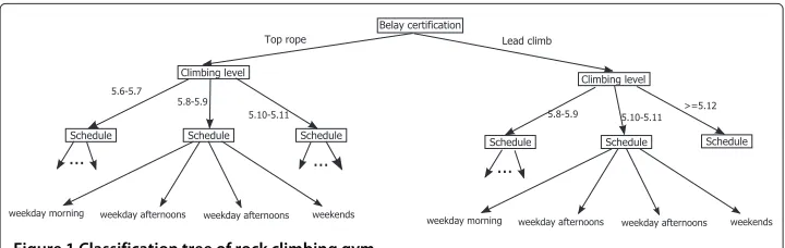 Figure 1 Classification tree of rock climbing gym.
