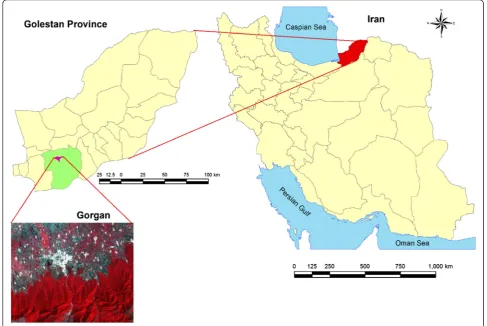 Figure 1 Gorgan satellite image, a view of the area (white spots are built-up areas) Source: Geography Organization 2013.