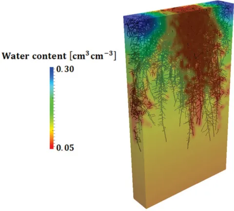 Fig. 4. Relative water saturation in soil around a root system taking up water simulated with R-SWMS.