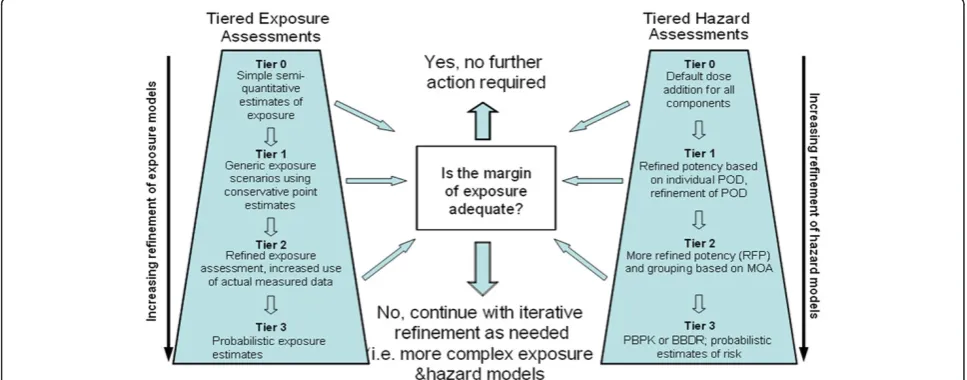 Figure 1 WHO/IPCS framework for assessing combined exposures to multiple chemicals from multiple sources [1].