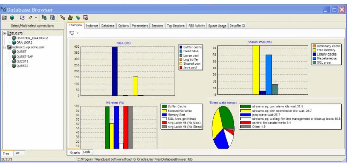 Figure 5 — Monitoring Multiple Oracle Instances  3.  Focus on one instance.  