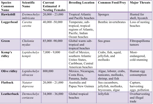 Table 1. Basic sea turtle information by species.  All information from: http://www.conserveturtles.org  