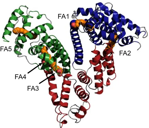 Figure 1.6 X-ray crystal structure of myristate-bound HSA . The protein structure is shown in the same colour scheme as previous figures