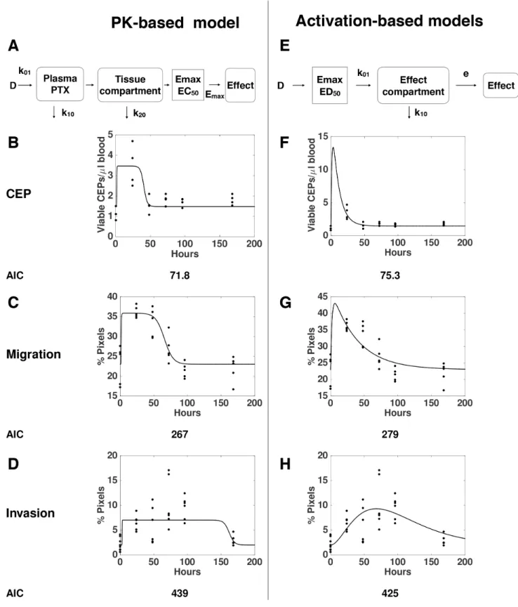 Figure 3: “Pharmacokinetics (PK)-based” versus “Activation-based” models.  Mathematical models based on distinct  mechanisms: PK-based  (A-D) versus based (E-H)