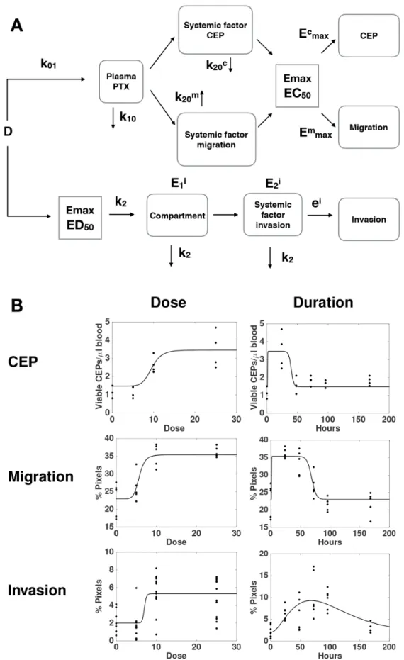 Figure 4: A global mathematical model for the combined dynamics of all host-mediated effects