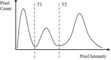 Figure 2.9: Histogram of the intensity/grey level in a image. The selected threshold,T1, corresponds to the minimum between the two peaks.