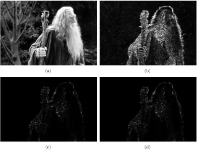 Figure 3.9: Low DoF image taken from video footage (a), and the correspondingfocus intensity map generated by the wavelet 1 method (b), the wavelet 2 method(c) and the wavelet 3 method (d)