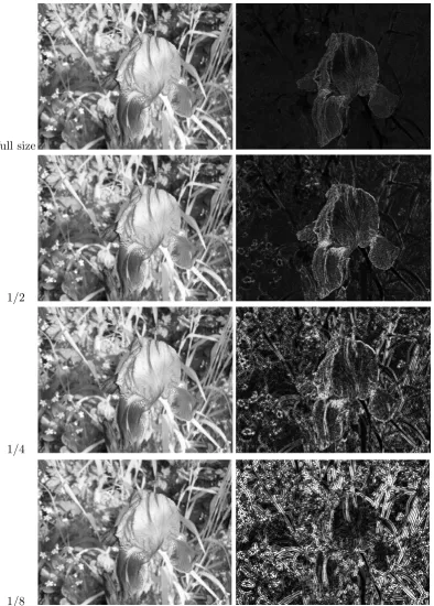 Figure 3.12: Eﬀects of image resolution on focus assessments.