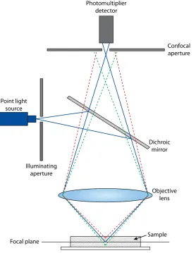 Figure 1.4: Schematic of the principles of the confocal laser scanning microscope. The pinholes
