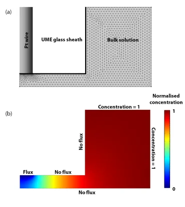 Figure 2.4: (a) Example geometry and mesh, and (b) normalised concentration proﬁle for the