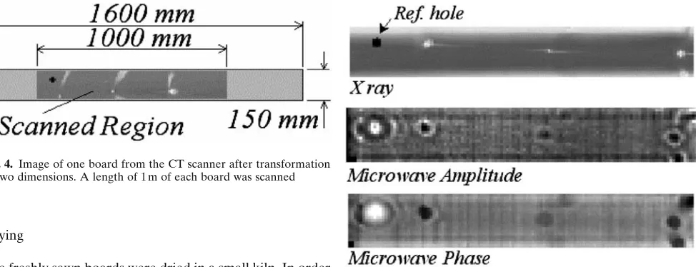 Fig. 4. Image of one board from the CT scanner after transformationto two dimensions. A length of 1m of each board was scanned
