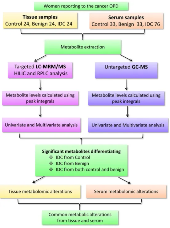 Figure 1: A flowchart depicting the outline of the study.  Workflow and steps evolved for the metabolomic study conducted on tissue  (24 IDC, 24 benign and 24 normal) and serum (76 IDC, 33 benign and 33 control) samples using targeted liquid chromatography