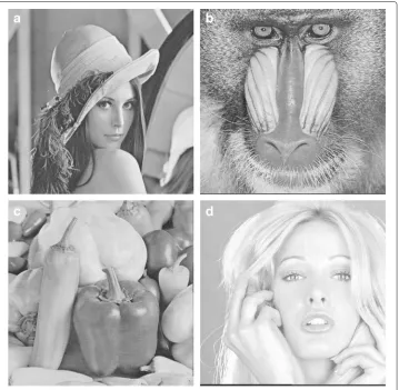 Table 3 Experimental Results for images with size 225 × 225