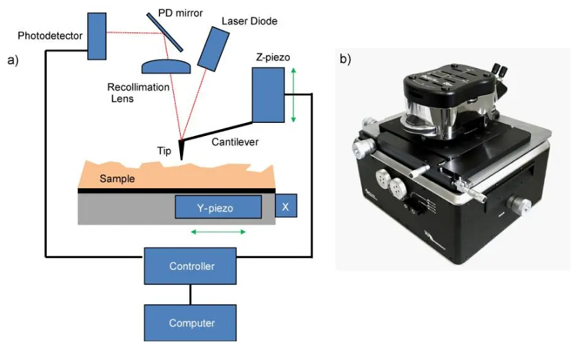 Figure 2.10: a) Schematic of the AFM set up.  b) Image of the set-up taken from the Asylum MFP-