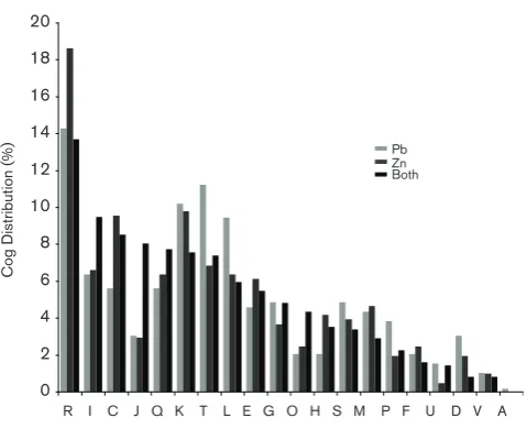 Fig. 4. COG categories distribution of proteins upregulated by Pbmetals were downloaded from the IMG database