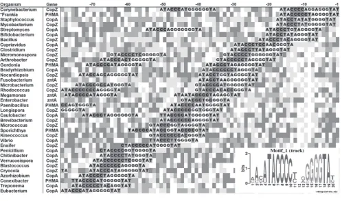 Fig. 6. Transcriptional changes of selectedresent 1 sd ( Frankia genes under Pb+2challenge