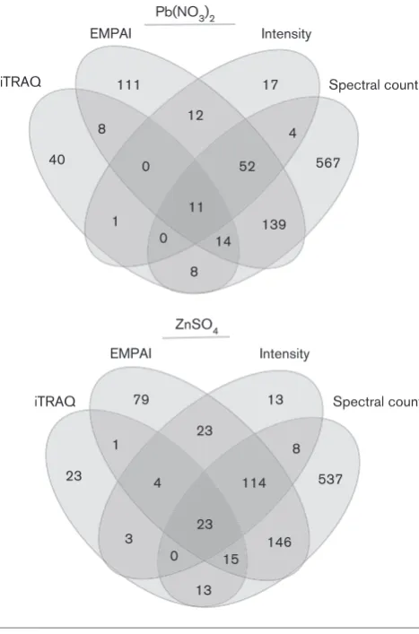 Fig. 3. Distribution of Pb2+- or Zn2+-upregulated proteins identified byanalysis type